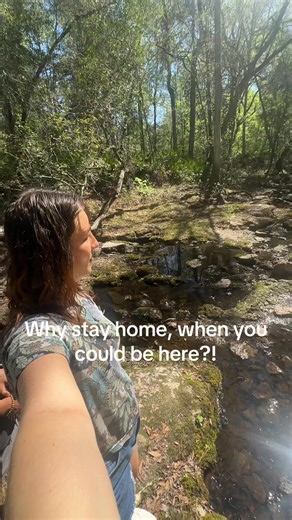 Sometimes Florida surprises you 🌿💧 Just outside Lake City, Falling Creek Falls is one of the few actual waterfalls in Florida. After a good rain, water spills over a 10-foot limestone ledge into a shady cypress basin, and it feels like you somehow left Florida for a minute. There’s an easy boardwalk that leads straight to the falls, so it’s a quick stop if you’re road-tripping through North Florida. The sound of the rushing water, huge trees, and all the moss makes it feel peaceful and a littl