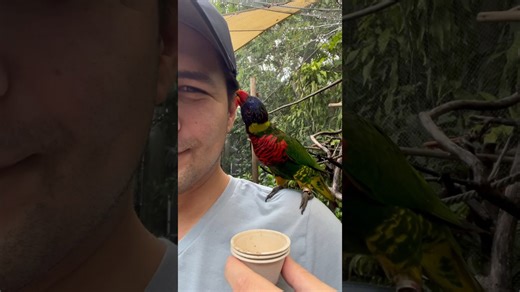 I’m a Disney Prince (Prairie Dog Style)