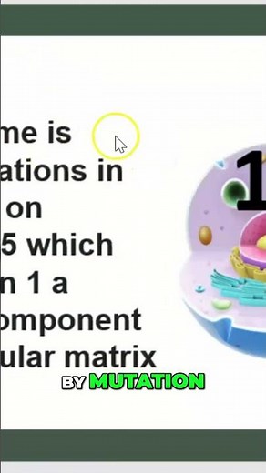 Marfan Syndrome: Chromosome 15 Mutation FBN1 Gene #shorts