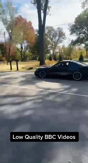 High Performance Cobra Flyby | BBCOBRA 04cobra TerminatiorCobra