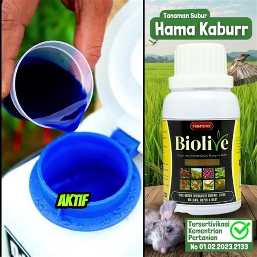 Mengandung Formula Pengusir Hama. Biolive Pupuk Cair..