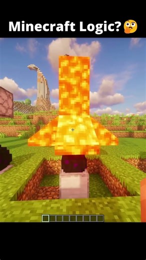 Minecraft Ender Dragon Egg Logic 🤯😵‍💫