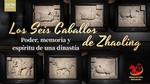Los Seis Caballos de Zhaoling: poder, memoria y espíritu de una dinastía En el marco del Año del Caballo, este video se centra en los célebres Seis Caballos de Zhaoling, un conjunto escultórico conservado en museos, que nos acerca al papel del caballo en la historia política y cultural de la China antigua. A través de la interpretación de especialistas, el programa explica el origen de estas esculturas, creadas para conmemorar a los caballos que acompañaron al emperador Tang Taizong en las campa