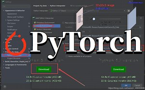 实践才是学【深度学习PyTorch入门实战】的最好方法，练完这套完整版PyTorch安装教程实战案例比看100套教程强！（机器学习/PyTorc/深度学习/计算