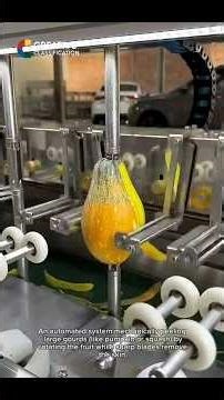 Unstoppable Machines Witness the Most Satisfying Modern Factory Production Lines!