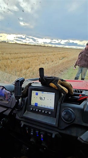172K views · 2.2K reactions | Fixing electric fence to keep the cows in. Deleting videos off my phone I found an old video of Hollywood getting shocked by the fence before he left. He left to be a cowboy. #cow #fyp #electrician #farmlife #cowboy | 1HandnFarming | Facebook