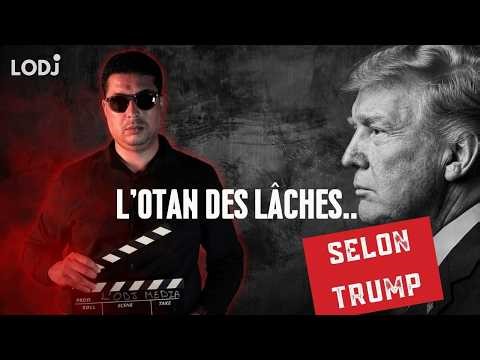 NATO of cowards: according to Trump