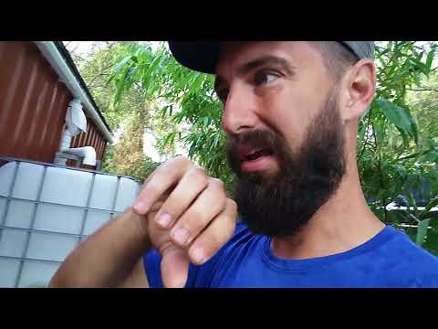 Rainwater Collection: shipping container gutter, first flush, and tank