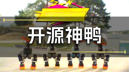小白快速上手Microduck？小鸭子仓库全解析！