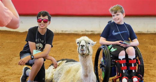 World's oldest llama comforts medically ill children