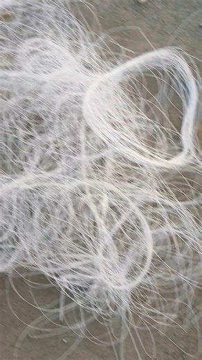 PLASTIC KI SADDI LOOT LI ITNI SARI 😍🪁 #kite #kitelooting #shorts #viral #youtubeshorts