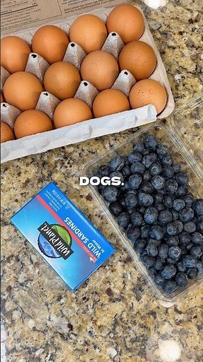 What are your dog’s favorite meal toppers? 👀
