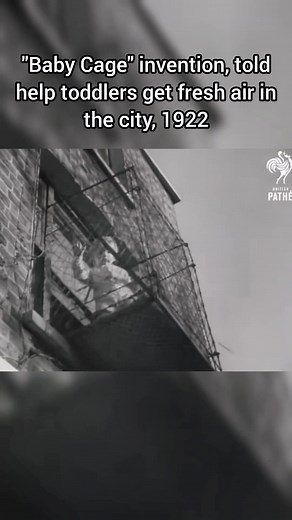 History with Joe on TikTok