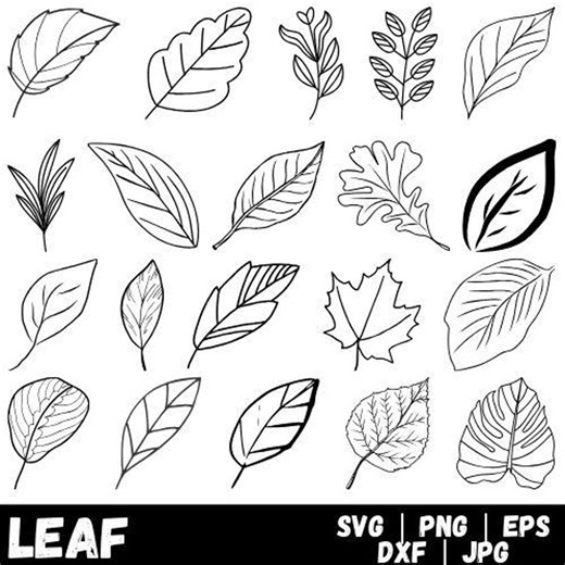 Leaves SVG Bundle, Hand Drawn Leaves SVG, Paper Leaves, Leaf Templates, Plant Svg, Wreath, Cut Files, Leaf Clipart, Cricut Silhouette SVG - Etsy