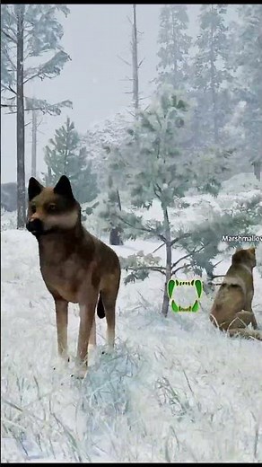 The Pretty Winter Snow ~WolfQuest, Vole's Valour~