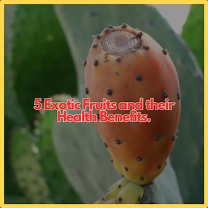 5 Exotic Fruits and Their Health Benefits | All about health and nutrition