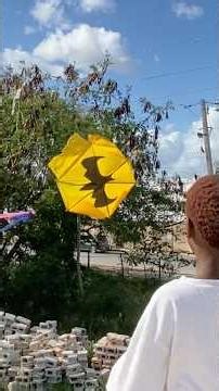 Flying a Batman kite 🔥 #kite