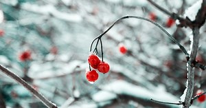 Naujausia orų prognozė: štai kas laukia artimiausiomis dienomis