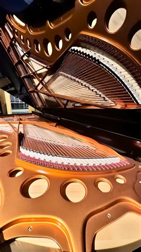 The mighty Bosendorfer Imperial. Someone asked me to play a C chord after last reel where I only played the low C. #bosendorfer #bösendorfer #bosendorferimperial #college #university #uncc #pianoforte #pianoman #pianoplayer #pianomusic #pianosolo #piano #pianolessons #pianolove #pianos #pianogram #pianokeys #pianoteacher #pianolover #musicianlife #musicianslife #musiciansofinstagram #pianotuner #pianotuning #grandpiano #instaphoto #iphonephotography #reelsofinstagram | A 440 Piano Service