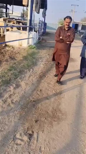 Exploring Taqwa Dairy Farm and Its Fresh Milk Products