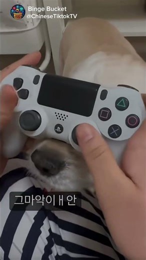 you HAVE to check out this new controller #gaming #gamingshorts #controller