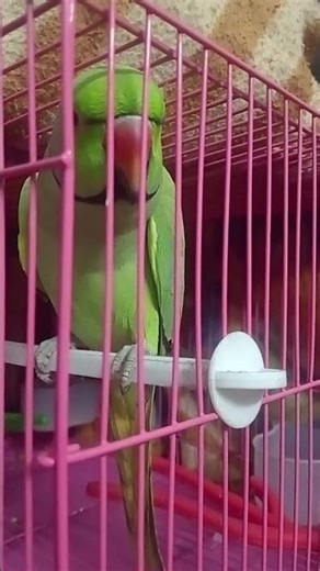 ❤️❤️❤️❤️🙏🌹