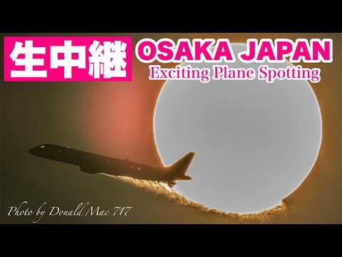 🔴 LIVE OSAKA ITAMI Airport 2026/4/12 大阪伊丹空港 ライブカメラ