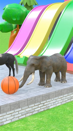 Elephant Playing Basketball | Long Slide Game | Animal Crossing Fountain | Zoova 3D