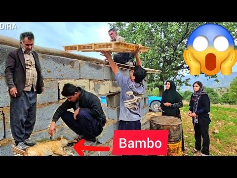 💔 Building the Roof in the Rain… While the Secret of Bamboo’s Death Remains Hidden | DIRA Family