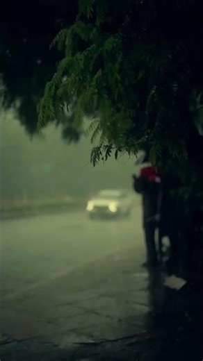 Rainy day🌦️☔ Rain Photography #nature #rainaesthetic #rain #aesthetic #videography #naturelovers