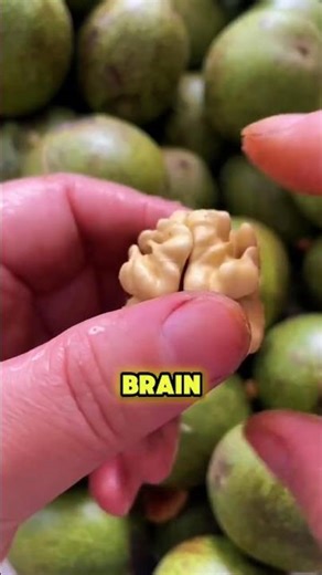 The Walnut That Fuels Heart & Hijacks Your Garden! #walnut #walnuttree #juglans