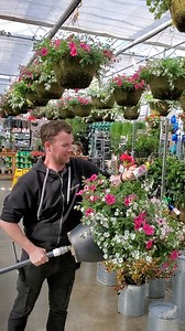 68K views · 4.3K reactions | Bryan is ready to show you all the gorgeous hanging baskets we have growing in-store and ready to go home with you! So many sun/shade varieties with unique plants—take a look! Perfect for the patio or balcony.  BONUS: Learn the best way to fertilize your hanging baskets with Bryan's tips. | West Coast Gardens | Facebook