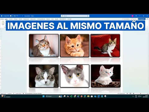 Cómo Poner Todas las Imágenes del Mismo Tamaño en Word (Con un clic)