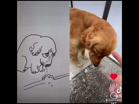 What did i say about eating concrete