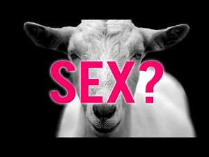 The Most Impossible “Would You Rather?” Game