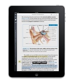 Choosing the Right E-Reader