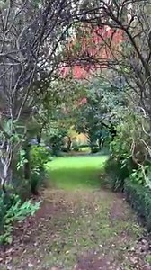 1.1K views · 78 reactions | Create something magical in your garden like this Ornamental Pear Walk Pears have been planted either side of the pathway & over time have been tied together across the top to form a gorgeous walkway. Just imagine how stunning it would look in Spring in full blossom Bare Root is the perfect time to embark on your garden creations | Fleming's Nurseries | Facebook
