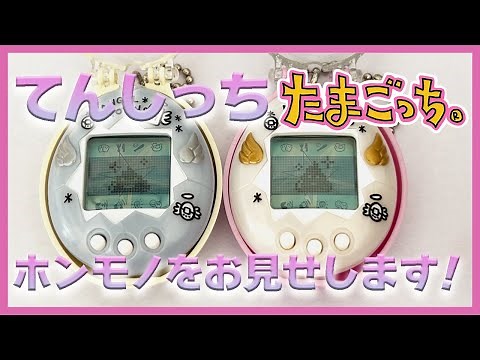 【たまごっち育成動画】てんしっち究極のシークレットお見せします。
