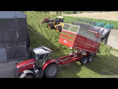 Alwyn Young Silage 2019