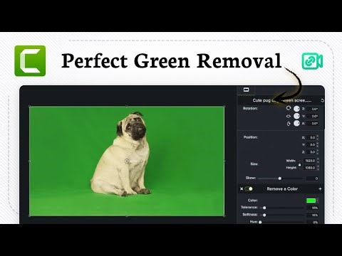 How to remove Green Screen in Camtasia (Editing Magic)