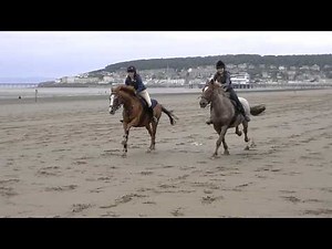 Galloping horses on the beach.