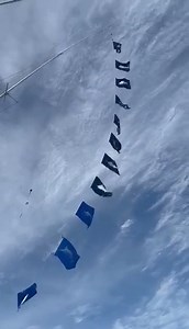 Cabo, MX - Reel Cast went 24-31 on Striped Marlin. | Marlin Billfish