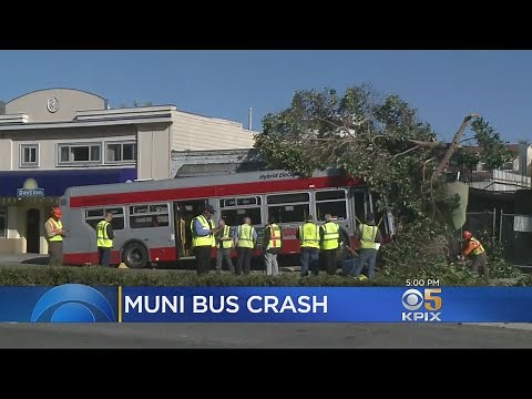 SF Muni Bus Driver Still Critical After Frightening Early Morning Marina Crash