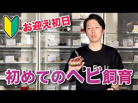 [Snake Beginner] Videos to watch when you first get a ball python