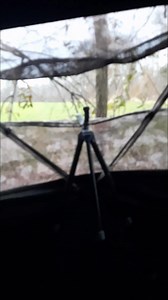 1.8K views · 34 reactions | I am in Southern Illinois Muzzleloader deer hunting right now, 40 mins north of Kentucky. There were some terrible tornados and high winds there last night. #PrayerSentToAll | Women Hunt Too | Facebook