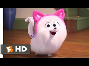 The Secret Life of Pets 2- Cat Lessons