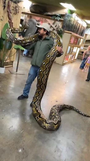 121K views · 20K reactions | Jayprehistoricpets on Reels | Facebook