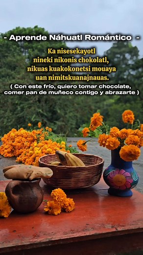 Una frase de amor en Náhuatl en este clima Frío, disfrutemos de un rico atole de chocolate y pan de muñeco. #Huasteca #frasesdeamor #amor #novios #pareja #conquistar #Lluvias #climafrio #Veracruz #nahuatl #LenguasIndígenas #CulturaViva #romantico #educativo #poesia #cempasuchil #DiaDeMuertos #Xantolo | Bryan Limajtzintla