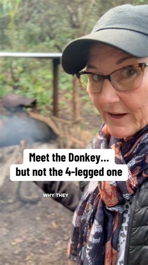 In Africa, a “donkey” isn’t always the animal pulling a scotch cart… sometimes it’s the reason you’re taking a hot shower. 😄 This is a donkey boiler—a simple, wood-fired hot water system used in remote camps and off-grid places. Basically: light a fire, heat the tank, and hot water runs to the shower. They can be the size of a propane tank to a large tank like the one at Bhanga Nek. Now my question for the locals / Africa veterans: why do they call it a “donkey”? While I understand what they do