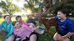 Coolibah knowledge the key to a cool Christmas